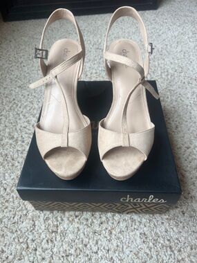 Charlies Beige Suede